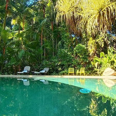 Daintree Rainforest Retreat Motel Zewnętrze zdjęcie