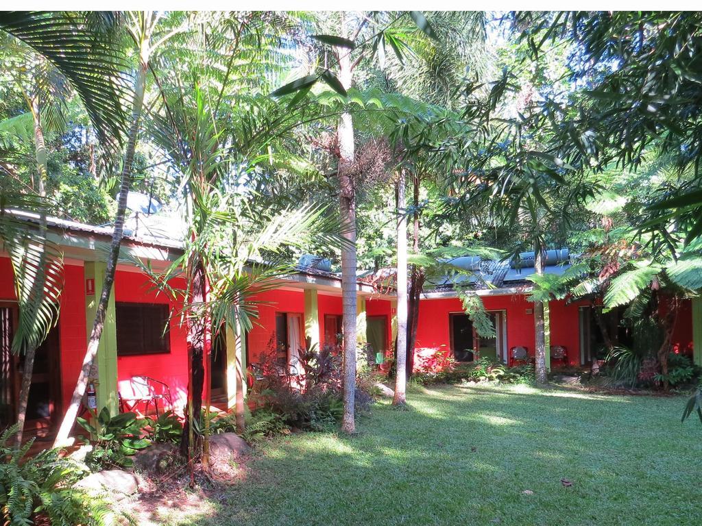 Daintree Rainforest Retreat Motel Zewnętrze zdjęcie