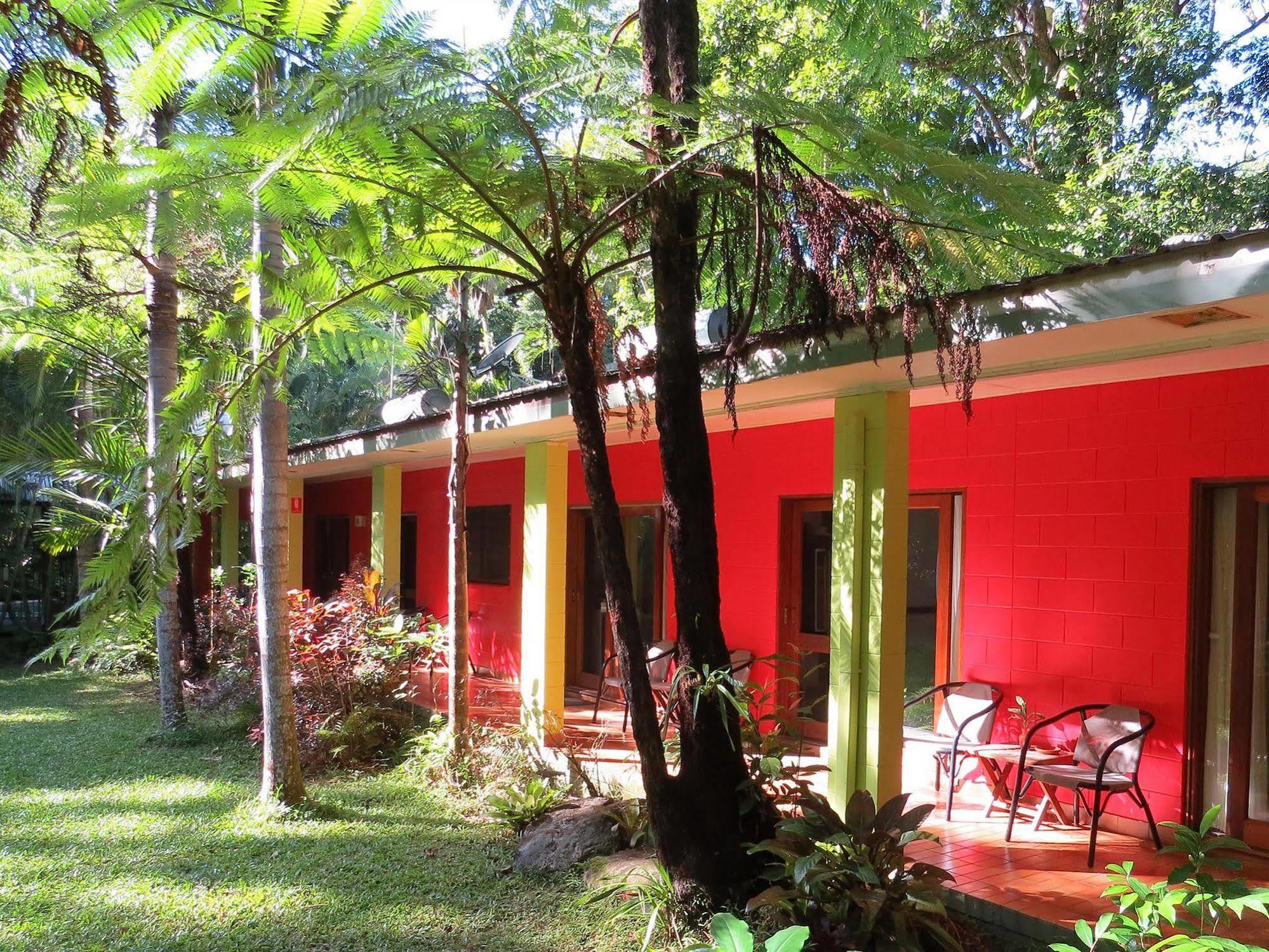 Daintree Rainforest Retreat Motel Zewnętrze zdjęcie