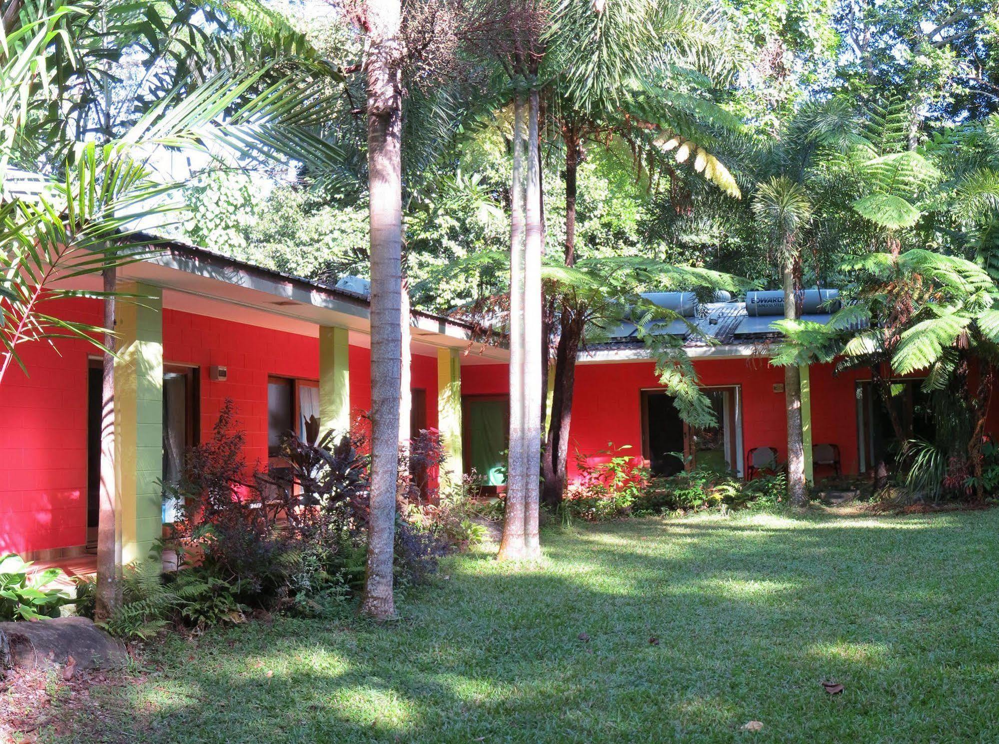 Daintree Rainforest Retreat Motel Zewnętrze zdjęcie