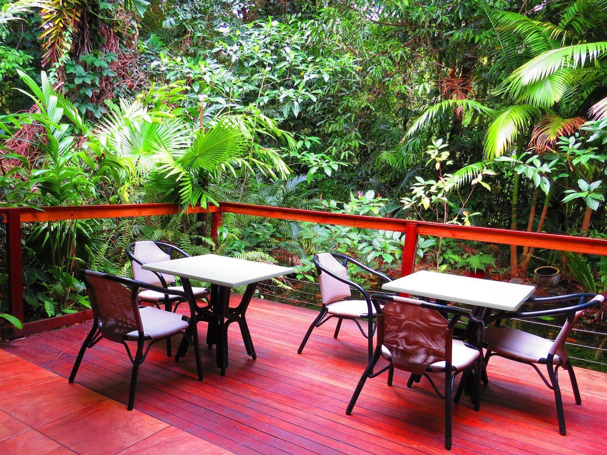 Daintree Rainforest Retreat Motel Zewnętrze zdjęcie